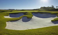 alhama signature golf course